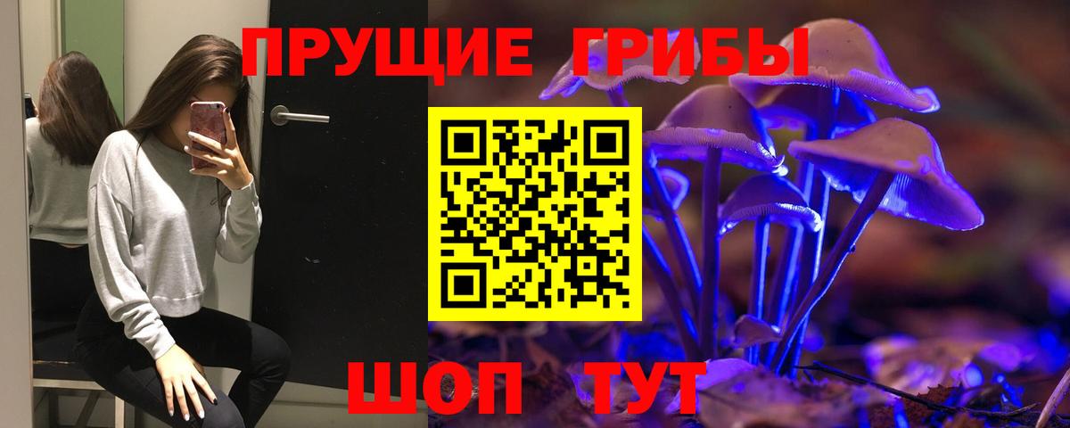 Галлюциногенные грибы Psilocybine cubensis Сибай